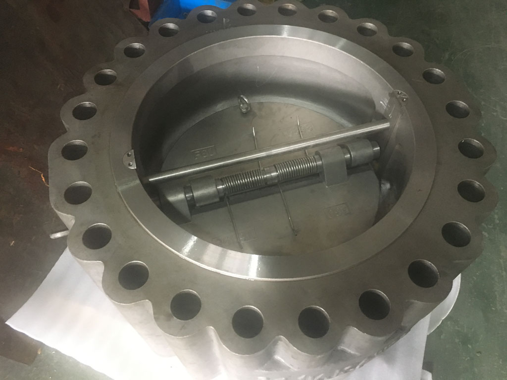 Big size check valve - application