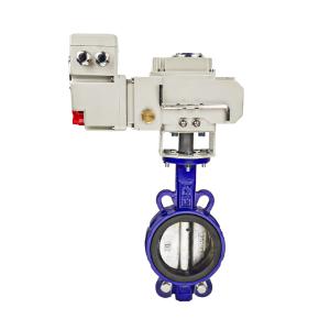 Electric butterfly valve