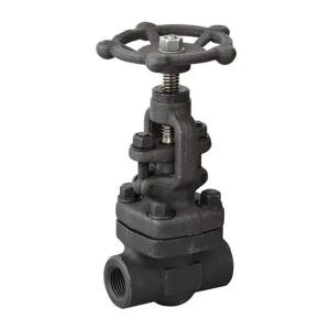 Forged Steel Threaded Gate Valves