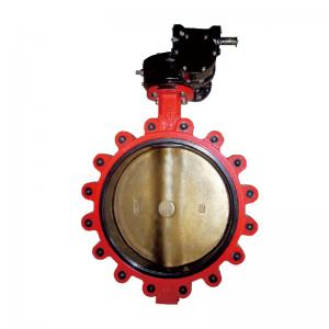 Lug Butterfly Valve
