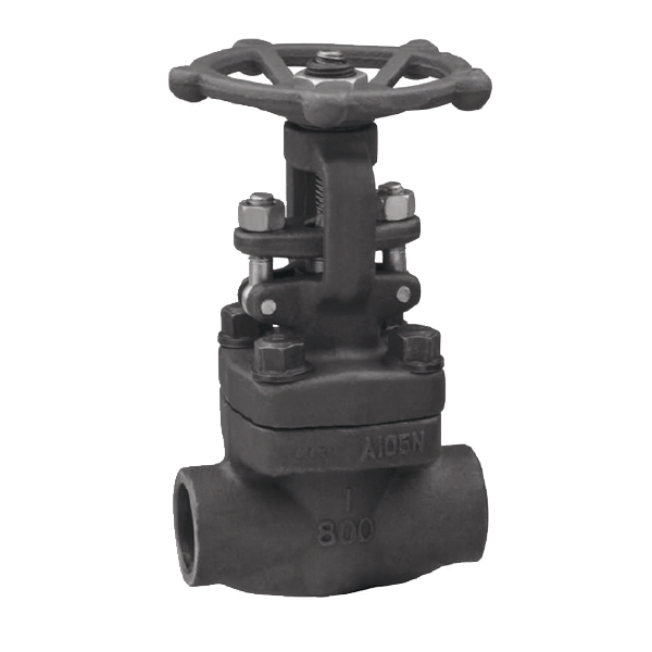 Forged Steel Globe Valve