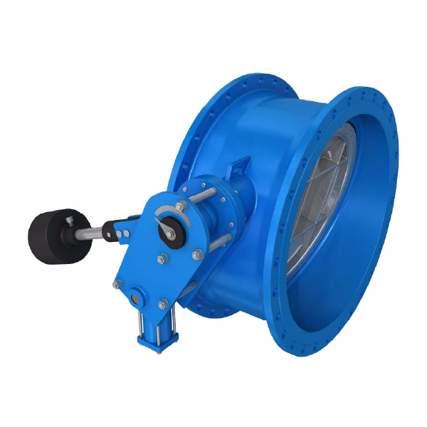 Butterfly Type Non-slam Check