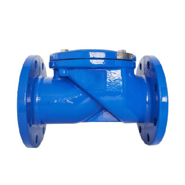 Cast Iron Check Valve