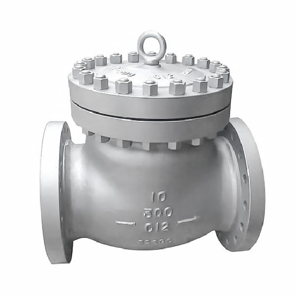API - Check Valve API - Check Valve