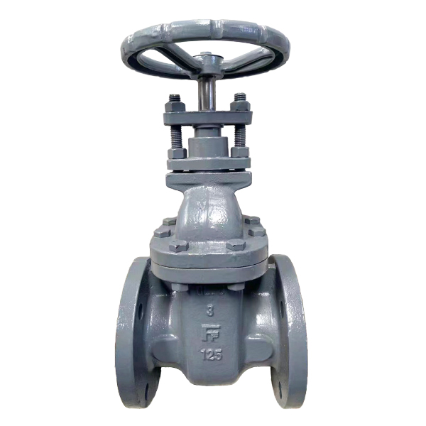 Iron Gate Valve Iron Gate Valve